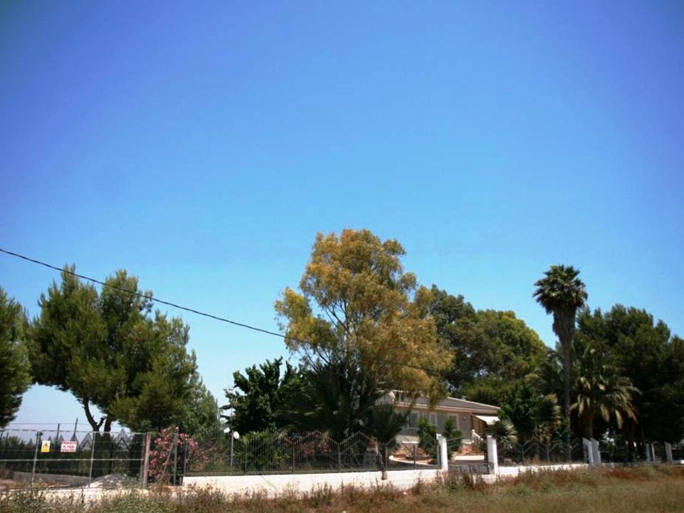 Cortijo i Dolores, Alicante - foto 2